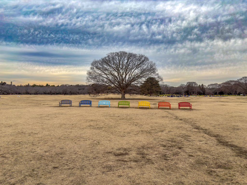気になるベンチ