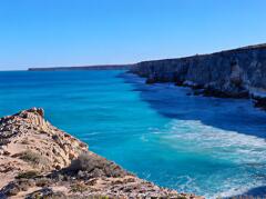 野生のクジラと出会える場所