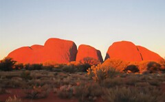 『風の谷のナウシカ』に登場する「風の谷」?