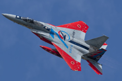 岐阜基地航空祭2025 予行！ F15スペマ