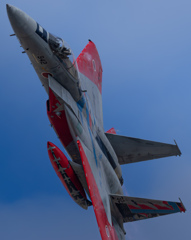 岐阜基地 機動飛行