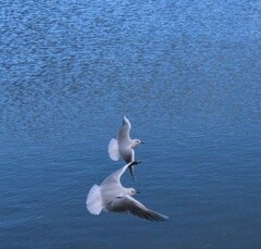 公園散歩（３）