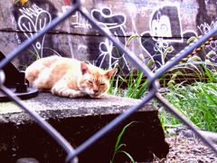 RIMG0753