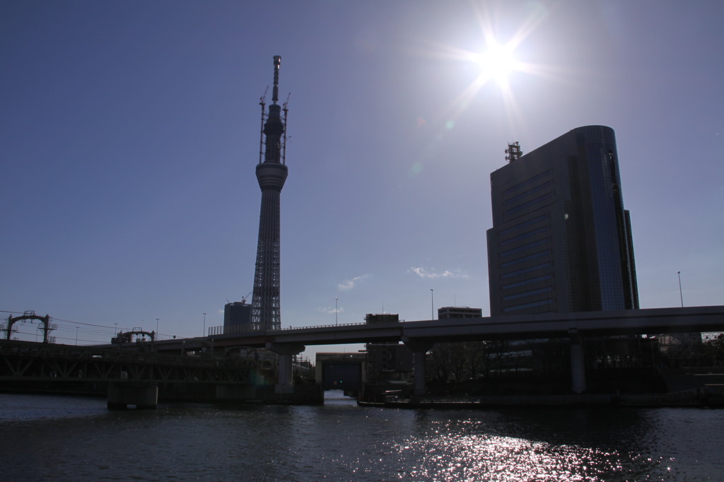 スカイツリー　600m