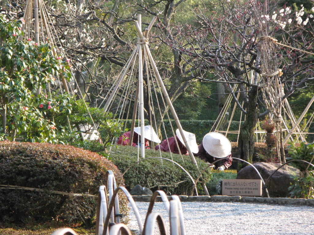 兼六園