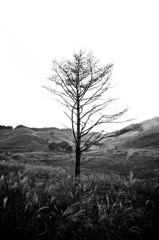 ats_9_3
