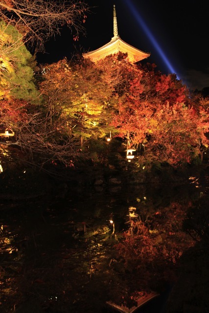 清水寺ライトアップ　