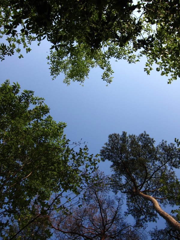 青空