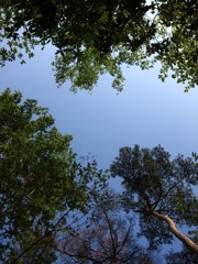 青空