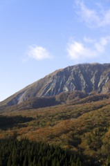 大山の紅葉