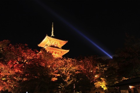 清水寺ライトアップ