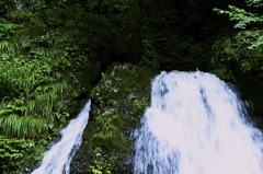 滝