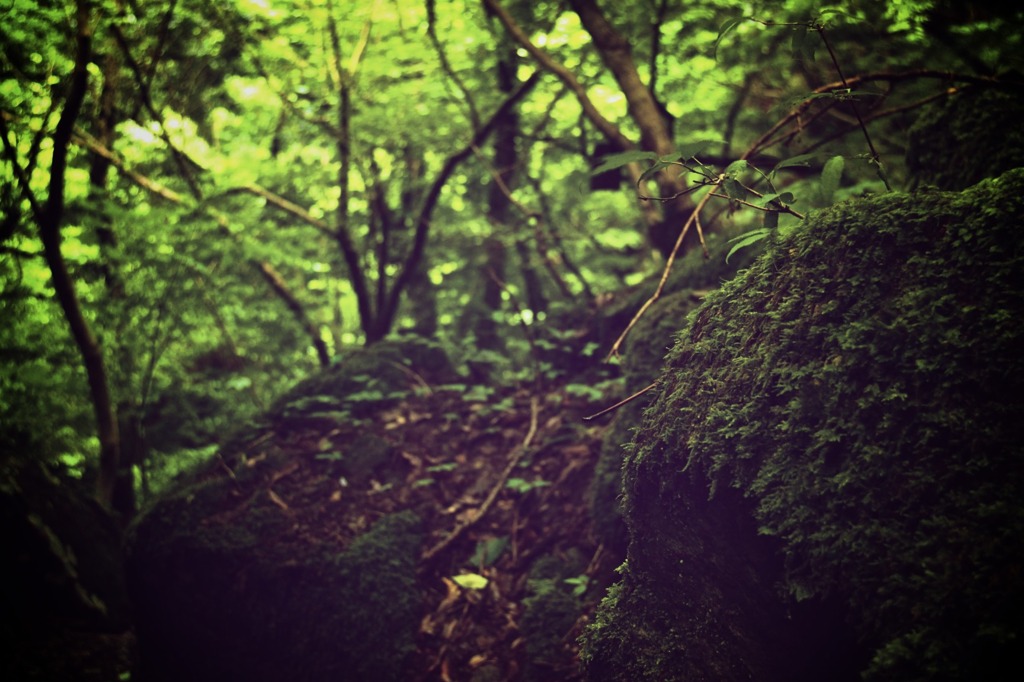 山道