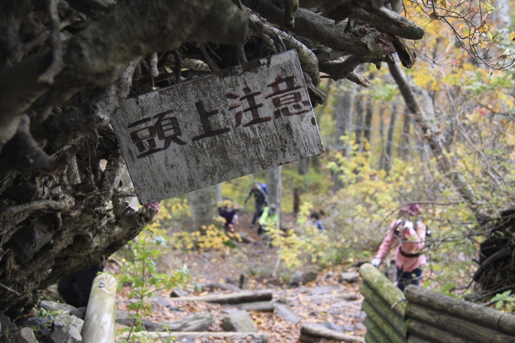 大山登山、頭上に根っこ
