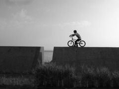 BMX CREW
