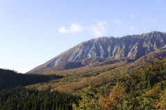 大山の紅葉