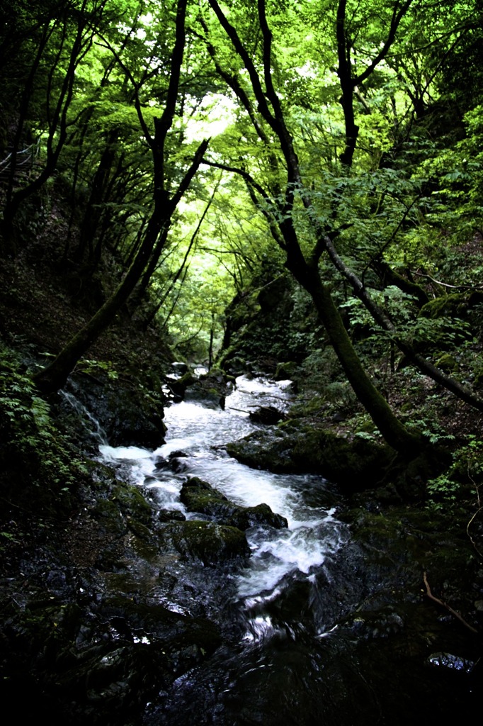 渓流