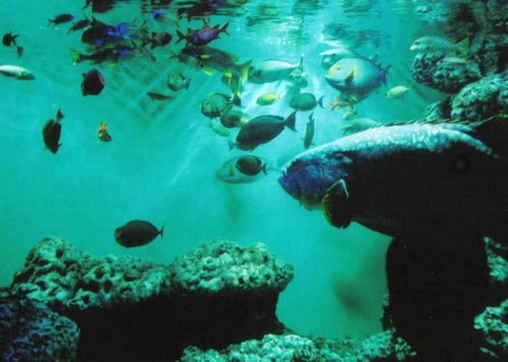 水族館