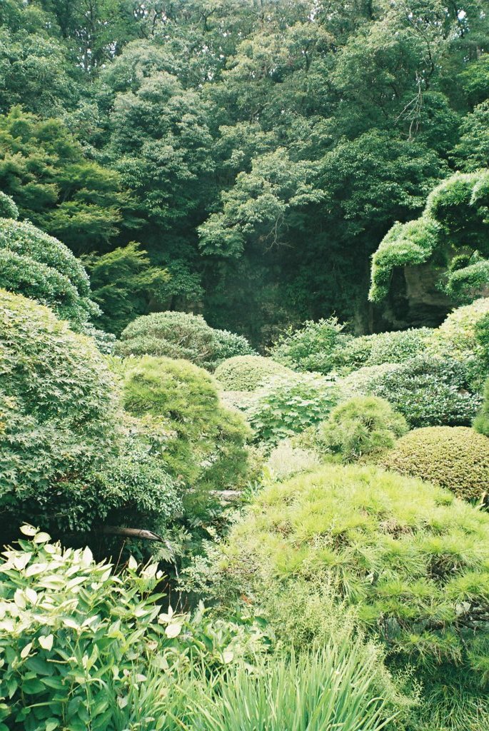 あおあお２