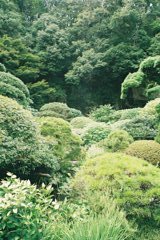 あおあお２