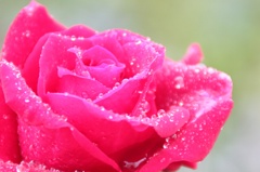 raindrop