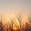 夕焼け