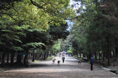 奈良公園