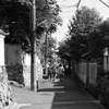 静か道