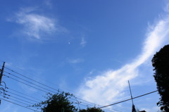 今日は半月かな？