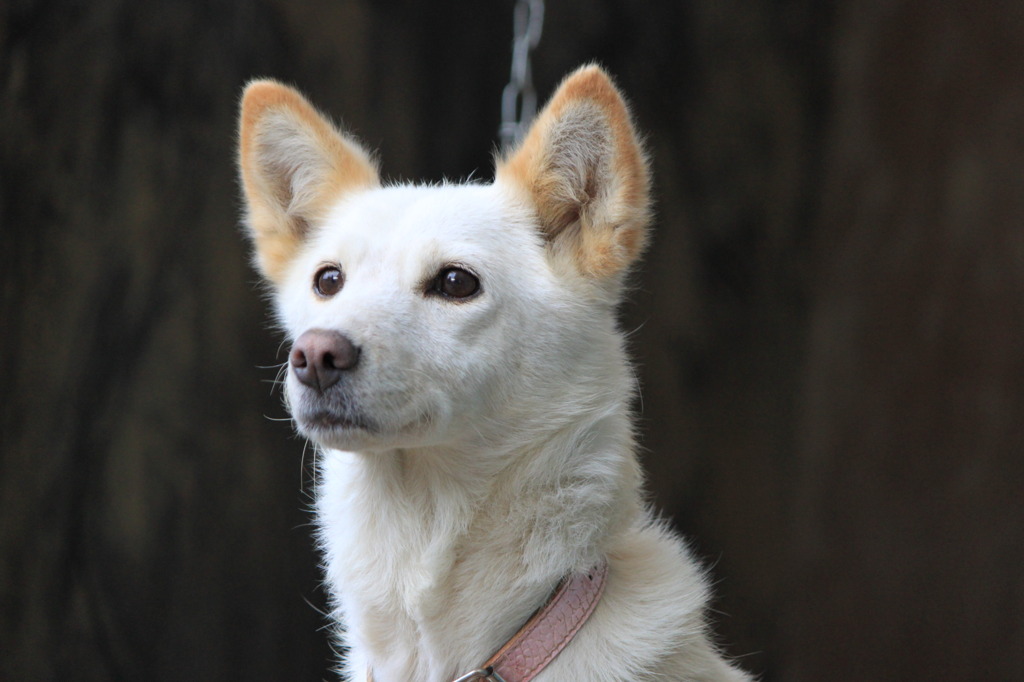 見つめる先は・・・