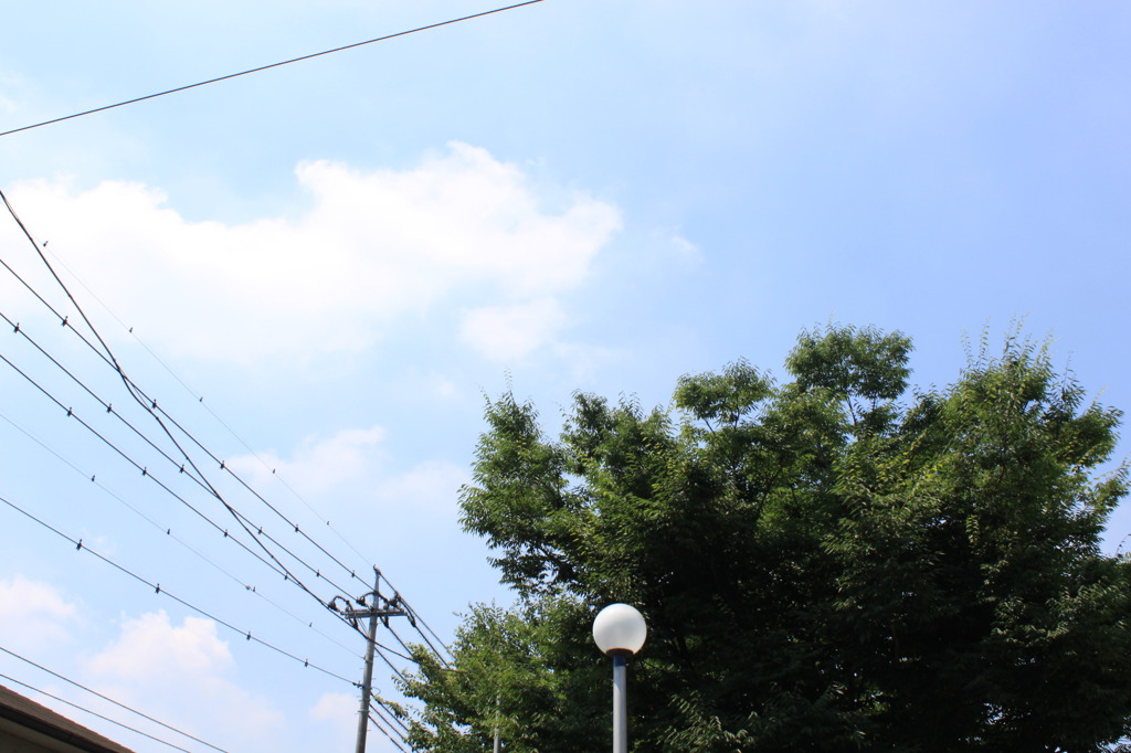 雲のプーさん