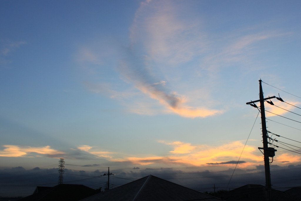 夕焼けの蝶