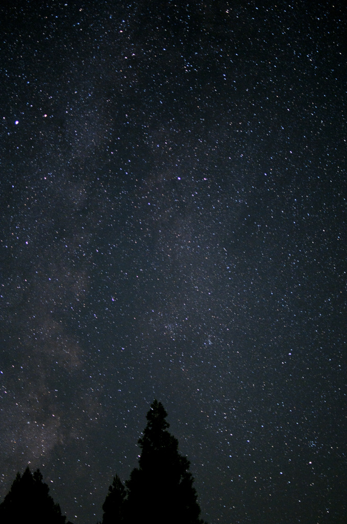 星に願いを・・・