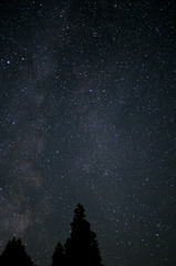 星に願いを・・・