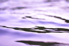Surface of the water of evening