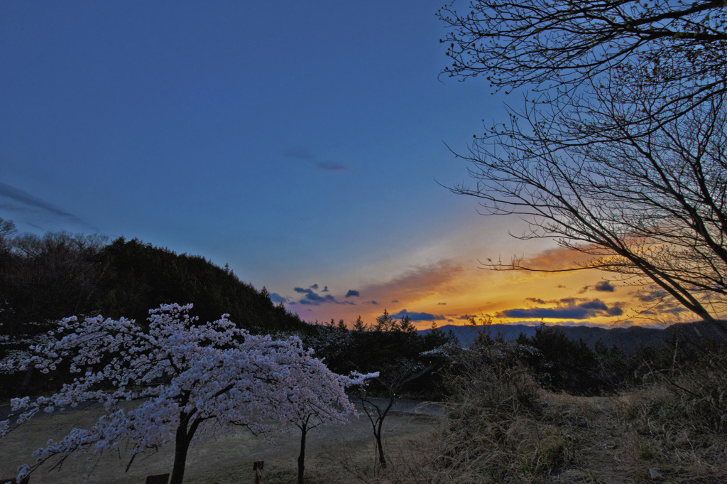 夕焼け片想い