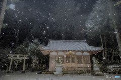 粉雪舞う頃に