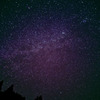 Cosmic Rose