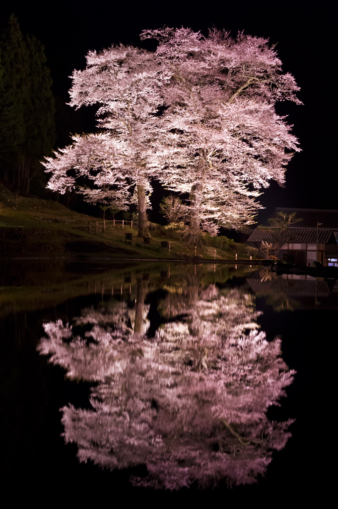 思いやりの光