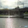 幸福という名の光をあびて