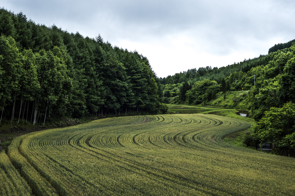 Winding