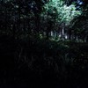 月夜のお姫様