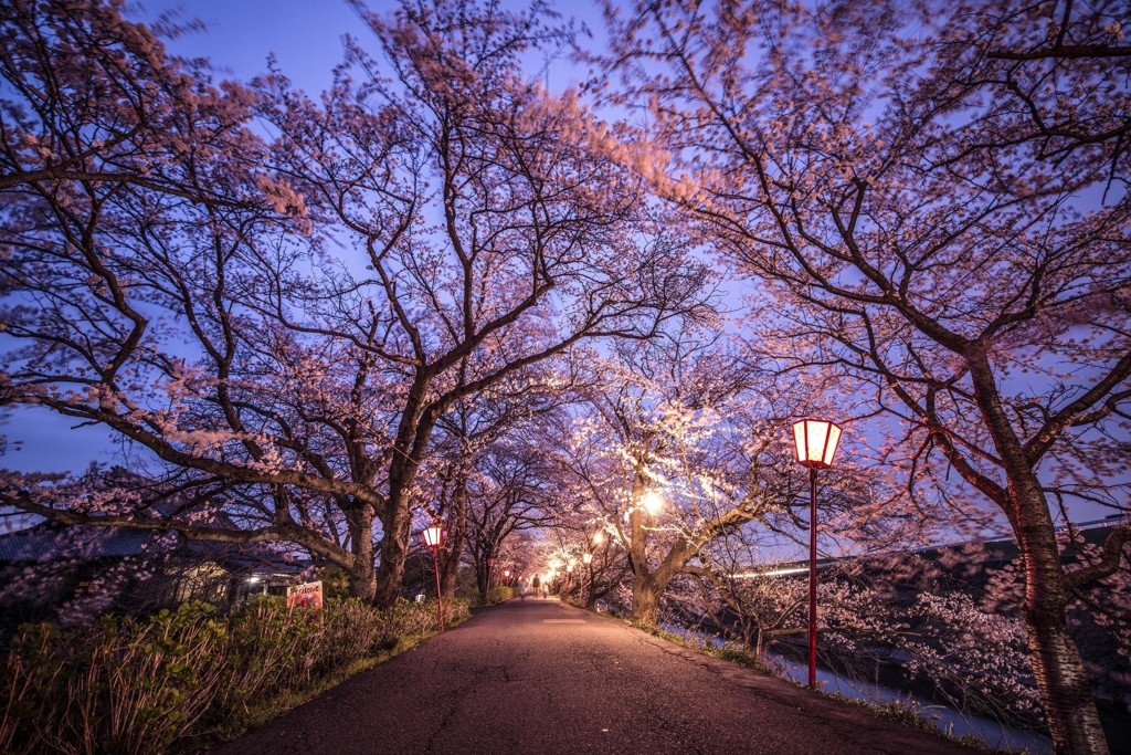 夜風に吹かれて