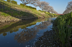 いつまでも。。。