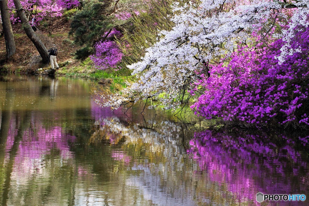 み、な、も、のいろどり