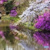 み、な、も、のいろどり