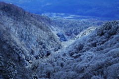 今日の風景