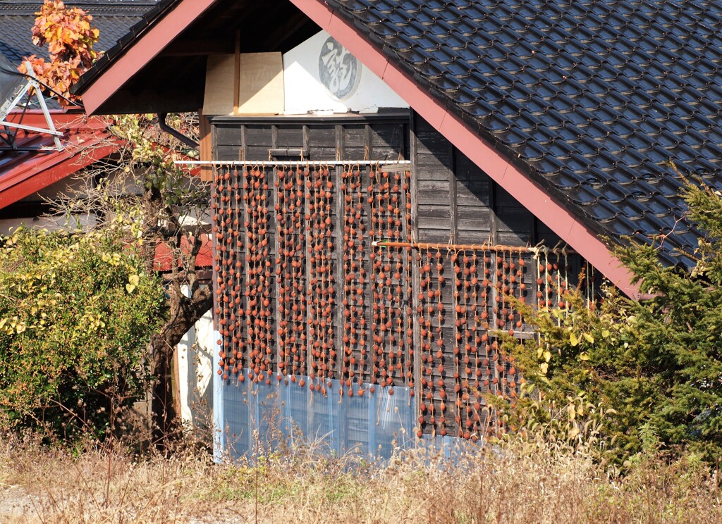柿すだれ