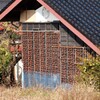 柿すだれ