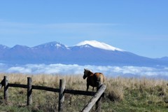 遥かなる山の呼び声